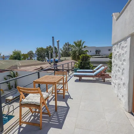 Traditional Seaside Stone With Private Pool Βίλα Αλικαρνασσός